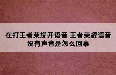 在打王者荣耀开语音 王者荣耀语音没有声音是怎么回事